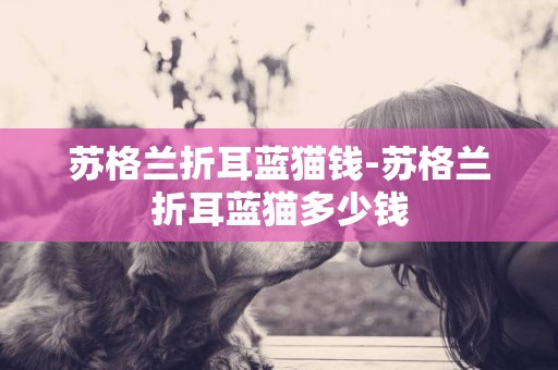 蘇格蘭折耳藍貓錢-蘇格蘭折耳藍貓多少錢