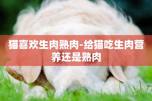 貓喜歡生肉熟肉-給貓吃生肉營養還是熟肉