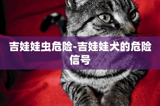 吉娃娃蟲危險-吉娃娃犬的危險信號