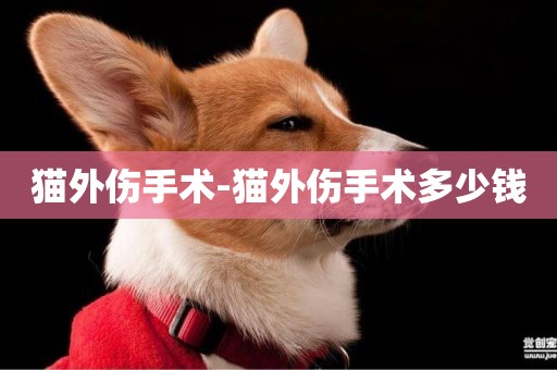 貓外傷手術-貓外傷手術多少錢