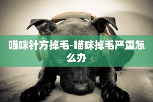 喵咪針方掉毛-喵咪掉毛嚴重怎么辦