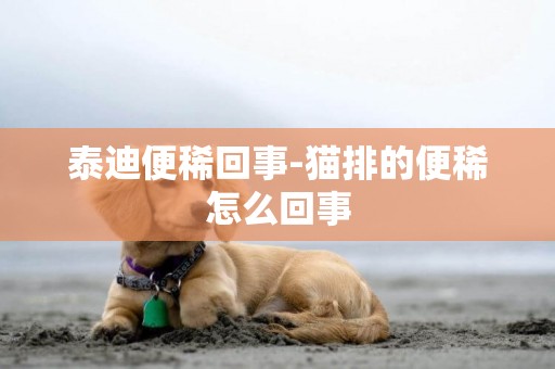 泰迪便稀回事-貓排的便稀怎么回事