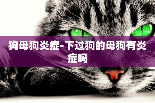 狗母狗炎癥-下過狗的母狗有炎癥嗎