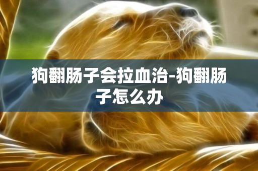 狗翻腸子會拉血治-狗翻腸子怎么辦