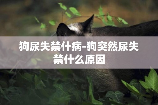 狗尿失禁什病-狗突然尿失禁什么原因