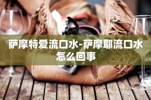 薩摩特愛流口水-薩摩耶流口水怎么回事