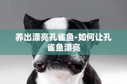 養出漂亮孔雀魚-如何讓孔雀魚漂亮