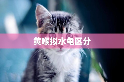 黃喉擬水龜區分
