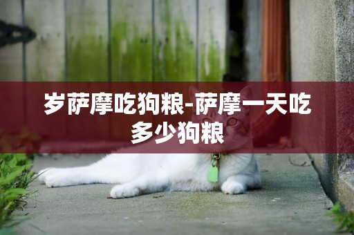 歲薩摩吃狗糧-薩摩一天吃多少狗糧