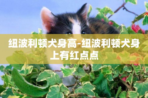 紐波利頓犬身高-紐波利頓犬身上有紅點點