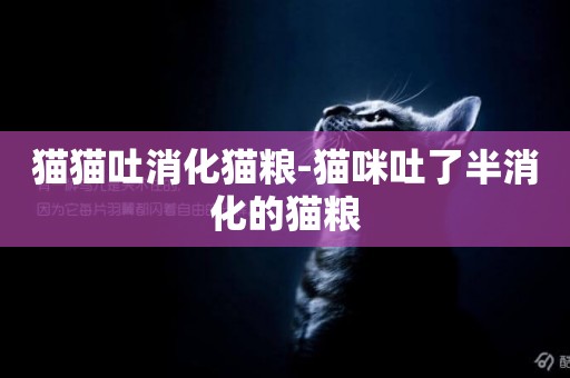 貓貓吐消化貓糧-貓咪吐了半消化的貓糧