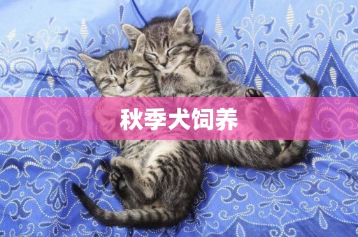 秋季犬飼養