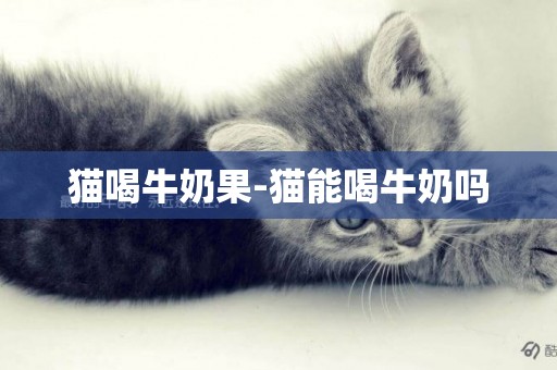 貓喝牛奶果-貓能喝牛奶嗎