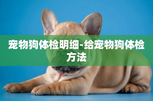 寵物狗體檢明細-給寵物狗體檢方法