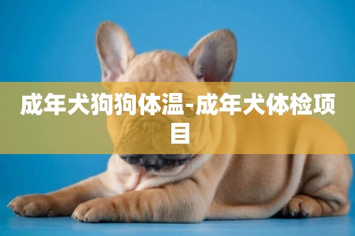 成年犬狗狗體溫-成年犬體檢項目