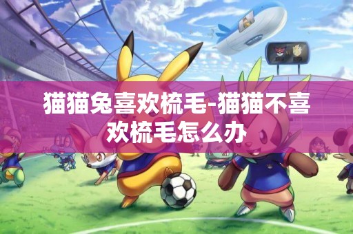 貓貓兔喜歡梳毛-貓貓不喜歡梳毛怎么辦