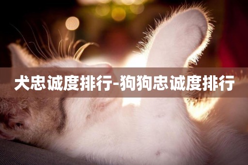 犬忠誠度排行-狗狗忠誠度排行