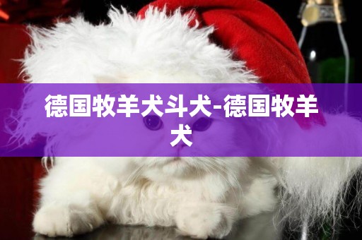 德國牧羊犬斗犬-德國牧羊犬