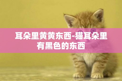 耳朵里黃黃東西-貓耳朵里有黑色的東西