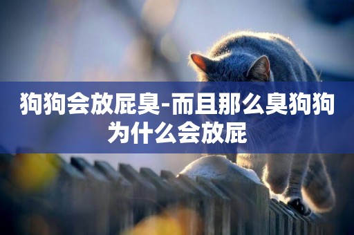 狗狗會放屁臭-而且那么臭狗狗為什么會放屁