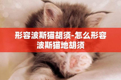 形容波斯貓胡須-怎么形容波斯貓地胡須