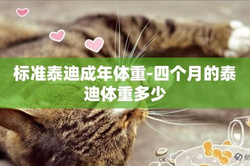 標準泰迪成年體重-四個月的泰迪體重多少