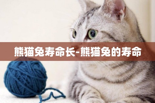 熊貓兔壽命長-熊貓兔的壽命