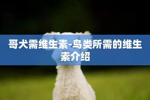 哥犬需維生素-鳥類所需的維生素介紹