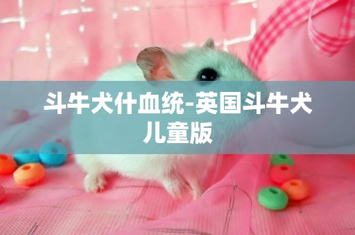 斗牛犬什血統-英國斗牛犬兒童版