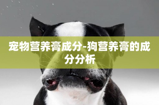 寵物營養膏成分-狗營養膏的成分分析