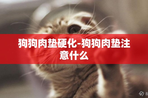 狗狗肉墊硬化-狗狗肉墊注意什么