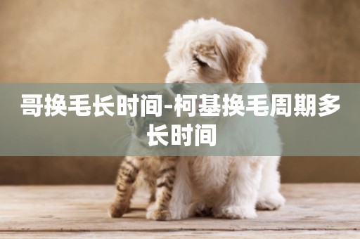 哥換毛長時間-柯基換毛周期多長時間