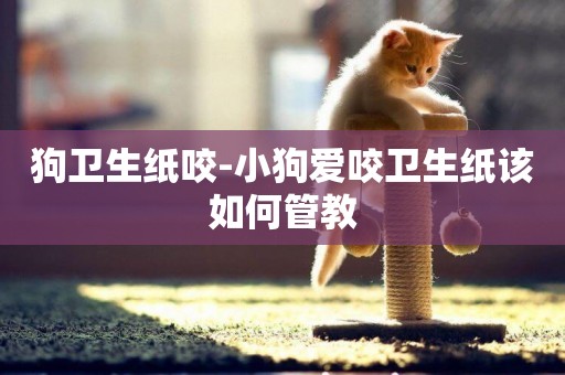 狗衛生紙咬-小狗愛咬衛生紙該如何管教