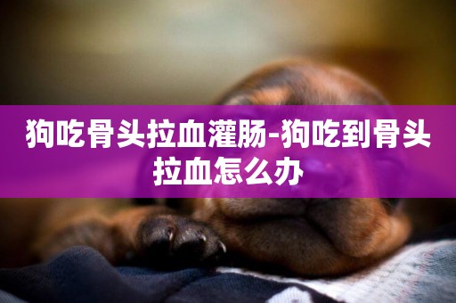 狗吃骨頭拉血灌腸-狗吃到骨頭拉血怎么辦