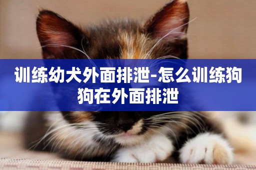 訓練幼犬外面排泄-怎么訓練狗狗在外面排泄