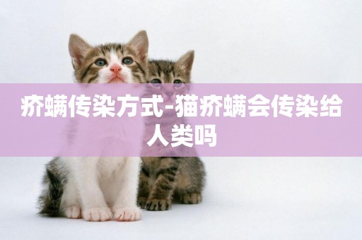 疥螨傳染方式-貓疥螨會傳染給人類嗎