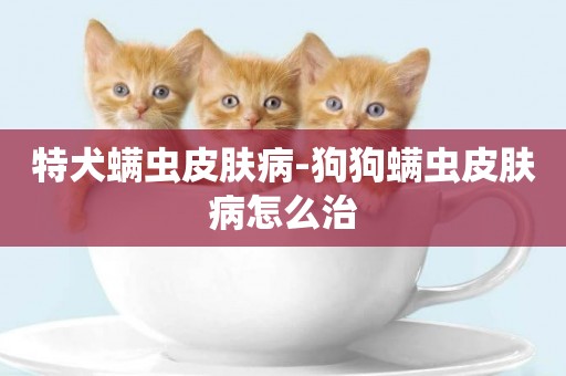 特犬螨蟲皮膚病-狗狗螨蟲皮膚病怎么治