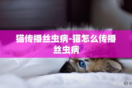 貓傳播絲蟲病-貓怎么傳播絲蟲病