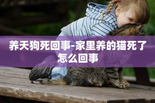 養天狗死回事-家里養的貓死了怎么回事