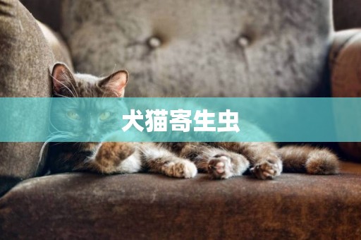 犬貓寄生蟲