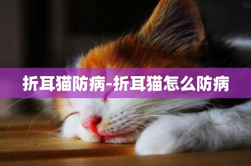 折耳貓防病-折耳貓怎么防病