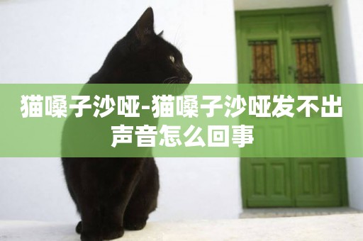 貓嗓子沙啞-貓嗓子沙啞發不出聲音怎么回事