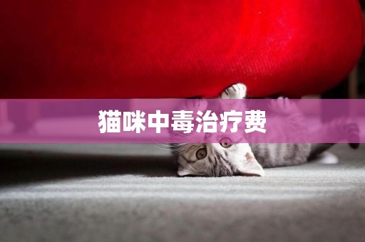 貓咪中毒治療費