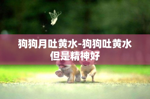 狗狗月吐黃水-狗狗吐黃水但是精神好