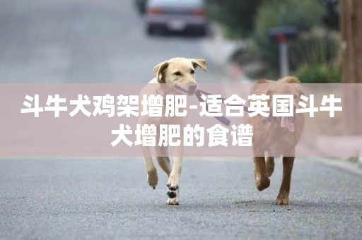 斗牛犬雞架增肥-適合英國斗牛犬增肥的食譜