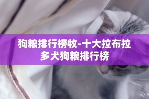 狗糧排行榜牧-十大拉布拉多犬狗糧排行榜