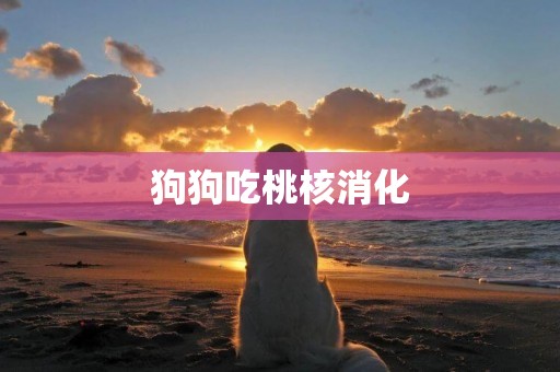 狗狗吃桃核消化
