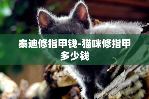泰迪修指甲錢-貓咪修指甲多少錢