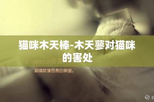 貓咪木天棒-木天蓼對貓咪的害處