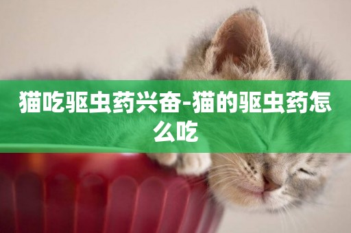 貓吃驅蟲藥興奮-貓的驅蟲藥怎么吃